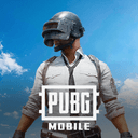 PUBG Gift Card